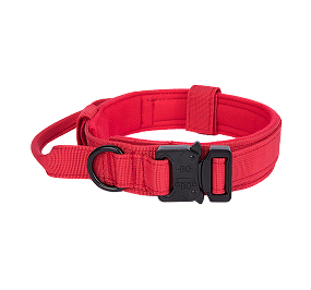 Dog Collars